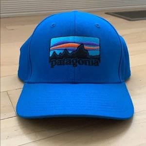 Patagonia Snapback Hat